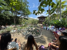 Cali, capital de la moda y la biodiversidad, brilló en Cali Distrito Moda