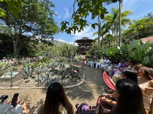 Cali, capital de la moda y la biodiversidad, brilló en Cali Distrito Moda