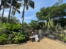 Cali, capital de la moda y la biodiversidad, brilló en Cali Distrito Moda