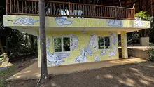 El mural que integra fauna y música caleña para contribuir a la educación ambiental