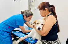 Fortalecen construcción de la Política Pública de Protección y Bienestar Animal, con participación ciudadana e interinstitucional