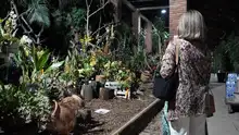 Historia, patrimonio y ciudad: la agenda de Bienes y Servicios para vivir los 490 años de Cali