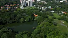 El cumpleaños de Cali florece en el Ecoparque Lago de la Garzas con una jornada ambiental para reconocer nuestra biodiversidad