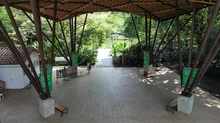 El cumpleaños de Cali florece en el Ecoparque Lago de la Garzas con una jornada ambiental para reconocer nuestra biodiversidad