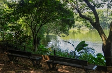 El cumpleaños de Cali florece en el Ecoparque Lago de la Garzas con una jornada ambiental para reconocer nuestra biodiversidad