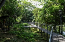 Da1