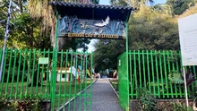 Cali inició la celebración de sus 490 años con una jornada ambiental en el Ecoparque Lago de las Garzas