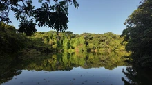 Cali inició la celebración de sus 490 años con una jornada ambiental en el Ecoparque Lago de las Garzas