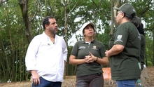 Dagma intensifica acciones y monitoreo en los humedales de Cali