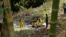 Dagma intensifica acciones y monitoreo en los humedales de Cali