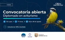 Banner home e instancia (Imagen principal) 635 x 395 pixeles (px)