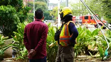 Distrito activa póliza de seguros tras caída de árbol en el puente del Gato de Tejada