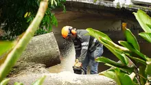 Distrito activa póliza de seguros tras caída de árbol en el puente del Gato de Tejada