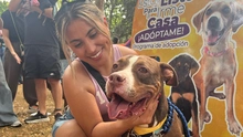 Los 490 años de Cali se celebraron con amor: 30 perros encontraron un hogar.