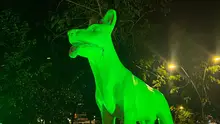 Más de 8000 personas han vivido las experiencias inmersivas que iluminan los 490 años de Cali
