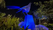 Más de 8000 personas han vivido las experiencias inmersivas que iluminan los 490 años de Cali