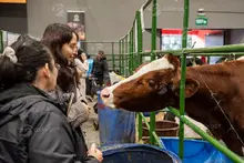 Cali se alista para Agroexpo 2026: la feria agrícola más importante de Colombia