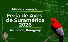 convocatoria feria aviturismo asunción_banner_web