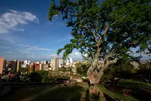 Cali abre sus puertas a una histórica posesión presidencial en Colombia