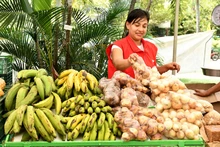 La Plaza de Cayzedo será escenario de una jornada cultural, deportiva y de mercado campesino: implementarán plan especial de tránsito