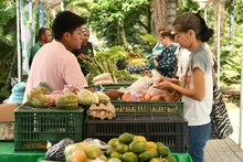 La Plaza de Cayzedo será escenario de una jornada cultural, deportiva y de mercado campesino: implementarán plan especial de tránsito