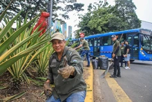 Cali se engalana para recibir la posesión presidencial este 7 de agosto