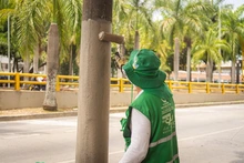 Con el embellecimiento de sus corredores estratégicos, Cali se alista para recibir un nuevo evento de país