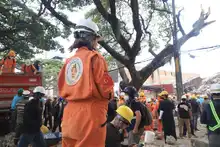 Mexican “Topos” are already in Cali working on the search for earthquake survivors