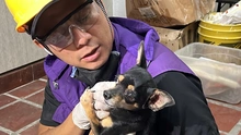 CBA centraliza atención de animales afectados por el sismo y fortalece la recepción de donaciones