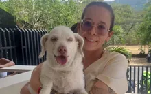 Entregan balance sobre atención de animales afectados durante la emergencia: llamado a reportar mascotas perdidas