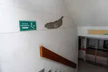 Estas son las afectaciones de los inmuebles de la  Alcaldía de Cali luego del  terremoto