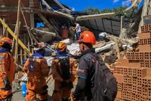 Protección animal fortalece la atención y el rescate de animales compañeros durante la emergencia en Cali