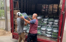 Cali todavía necesita manos: voluntarios hacen un llamado a no bajar la guardia