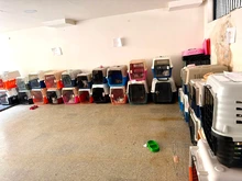 Protección Animal declara cuarentena preventiva y temporal en el Centro de Bienestar Animal para proteger a los animales bajo su cuidado