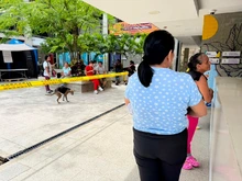 Protección Animal declara cuarentena preventiva y temporal en el Centro de Bienestar Animal para proteger a los animales bajo su cuidado
