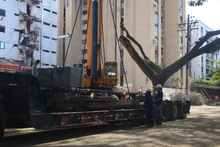 Culmina la recuperación de cuerpos en Cali y la administración distrital cierra la “primera etapa de un camino muy largo”