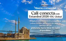 Mision comercial estambul