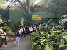 Apoyo emocional e integración: la ruta de esparcimiento de la Alcaldía de Cali para las familias reubicadas por el sismo