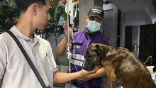 Alcaldía aclara denuncia por solicitud de dinero a través de línea asociada al Centro de Bienestar Animal