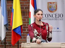Ante el Concejo Distrital, la Secretaría de Desarrollo Territorial y Participación Ciudadana explicó el papel de los CALI luego del terremoto