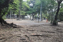 Feria de la Familia en el barrio La Flora, un escenario especial de reencuentro y asesoría para la comunidad ¡Así puede participar!