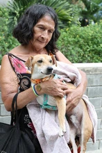 Animales recuperados del terremoto esperan a sus familias en el Centro de Bienestar