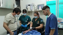 Cali protege a su fauna: Dagma entregó balance de la atención y recuperación de animales silvestre afectados por el incendio en el Cerro de La Bandera