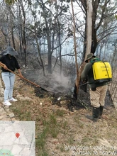 Cali protege a su fauna: Dagma entregó balance de la atención y recuperación de animales silvestre afectados por el incendio en el Cerro de La Bandera