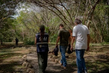 13 animales de fauna silvestre retornan a su hábitat natural en el Ecoparque de la Biodiversidad COP16