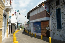 Cali le dice adiós al pago de las estampillas: más de 60 trámites distritales ya son gratuitos