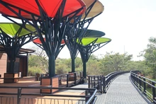 El Parque de la Biodiversidad COP16 se transforma en santuario de vida: Cali rinde homenaje a las víctimas del sismo con la siembra de 156 guayacanes rosados