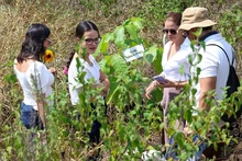 El Parque de la Biodiversidad COP16 se transforma en santuario de vida: Cali rinde homenaje a las víctimas del sismo con la siembra de 156 guayacanes rosados