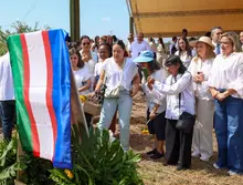 El Parque de la Biodiversidad COP16 se transforma en santuario de vida: Cali rinde homenaje a las víctimas del sismo con la siembra de 156 guayacanes rosados