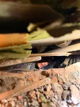 Hace un mes, luego del terremoto, un bombero bogotano y una víctima caleña protagonizaron ‘la foto de la vida’